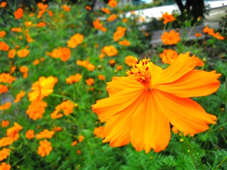 DSCN2416.JPG