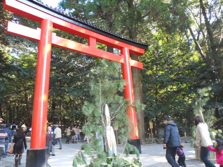 DSCN2905.JPG