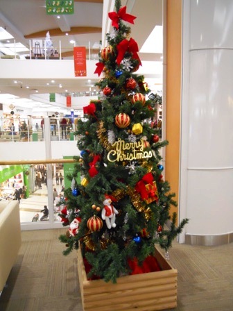 DSCN3579.JPG