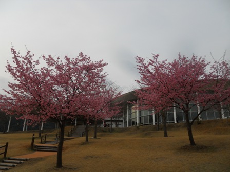 DSCN4277.JPG